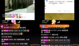 熊猫yy事件爆料视频,揭秘网络直播圈的惊人内幕